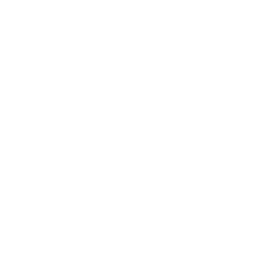 ICV ICV